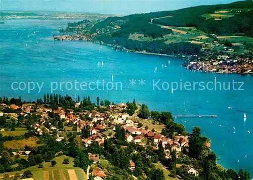 AK / Ansichtskarte Hemmenhofen mit Blick nach der Schweiz Fliegeraufnahme Hemmenhofen