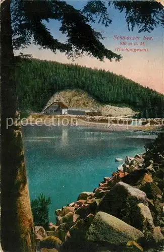 AK / Ansichtskarte Schwarzer_See_Elsass Panorama Schwarzer_See_Elsass