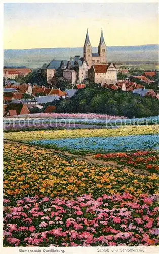 AK / Ansichtskarte Quedlinburg Schloss und Schlosskirche Quedlinburg