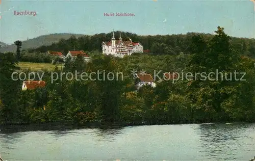 AK / Ansichtskarte Ilsenburg_Harz Hotel Waldhoehe Ilsenburg Harz