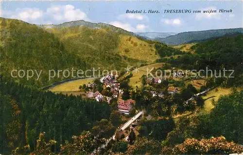 AK / Ansichtskarte Treseburg_Harz Blick vom weissen Hirsch ins Bodetal Treseburg Harz