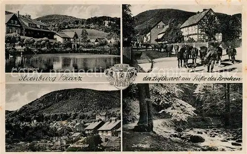 AK / Ansichtskarte Ilsenburg_Harz Forellenteich Kuhherde in der Badbergstrasse Teilansicht Im Ilsetal Ilsenburg Harz