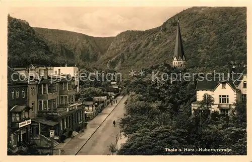 AK / Ansichtskarte Thale_Harz Hubertusstrasse Thale_Harz