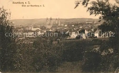 AK / Ansichtskarte Naumburg_Saale Panorama Naumburg_Saale