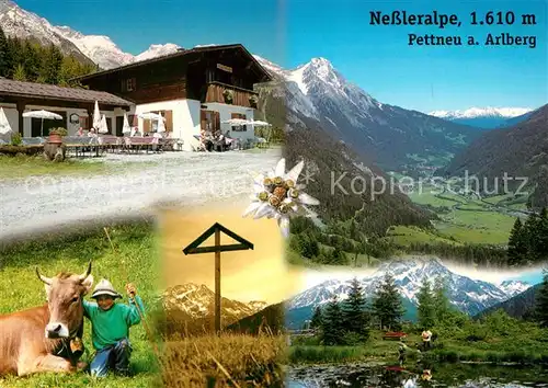 AK / Ansichtskarte Pettnau_Arlberg Nessleralpe Alm Jausenstation Alpenpanorama Pettnau Arlberg
