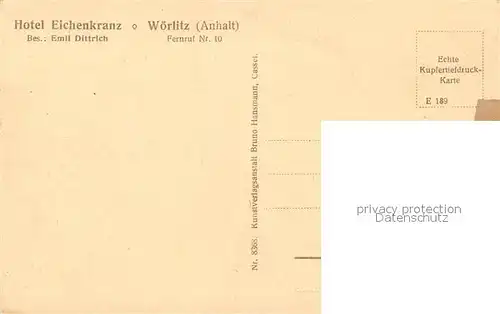 AK / Ansichtskarte Woerlitz Park Gotisches Haus Woerlitz