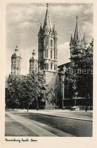 AK / Ansichtskarte Naumburg_Saale Dom Naumburg_Saale