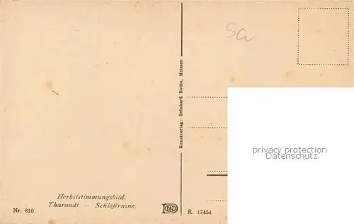 AK / Ansichtskarte Tharandt Schlossruine Tharandt