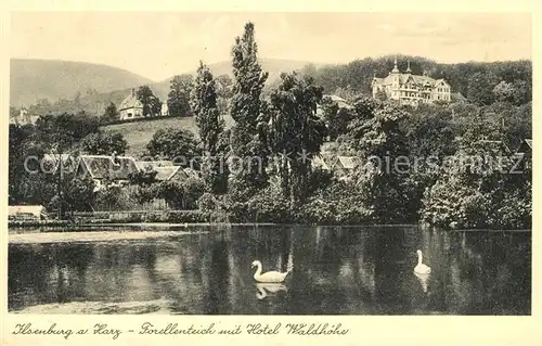 AK / Ansichtskarte Ilsenburg_Harz Schwanenteich mit Hotel Waldhoehe Ilsenburg Harz