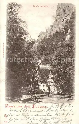 AK / Ansichtskarte Bodetal_Harz Teufelsbruecke Bodetal Harz