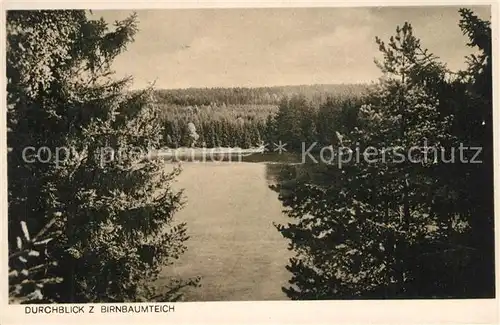 AK / Ansichtskarte Neudorf_Harzgerode Blick zum Birnbaumteich Neudorf Harzgerode