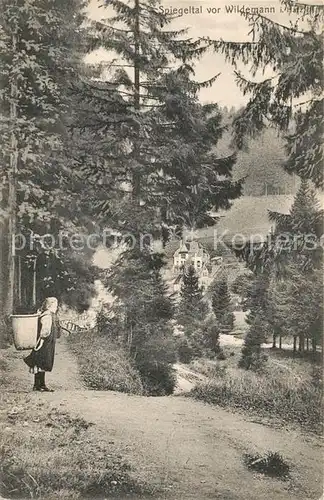 AK / Ansichtskarte Wildemann Spiegeltal Wildemann