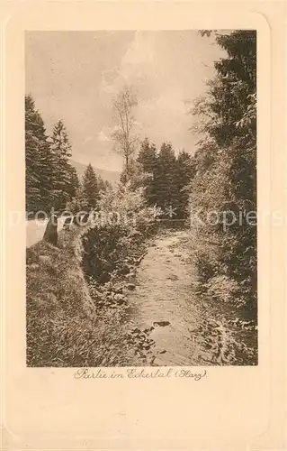 AK / Ansichtskarte Eckertal Partie im Eckertal Eckertal