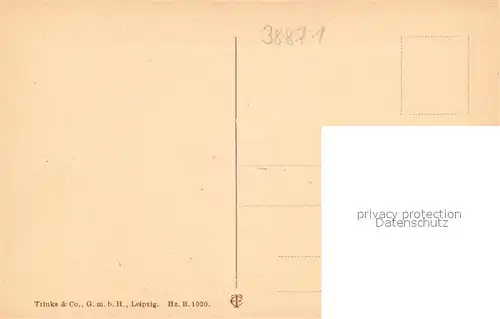 AK / Ansichtskarte Ilsenburg_Harz Teilansicht Ilsenburg Harz