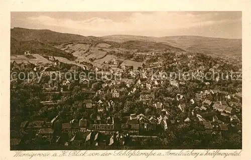 AK / Ansichtskarte Wernigerode_Harz Blick von der Schlossterrasse Armeleuteberg und Zwoelfmorgental Wernigerode Harz