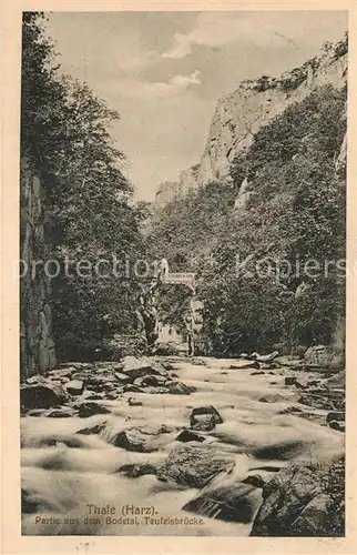 AK / Ansichtskarte Thale_Harz Partie im Bodetal mit Teufelsbruecke Thale_Harz