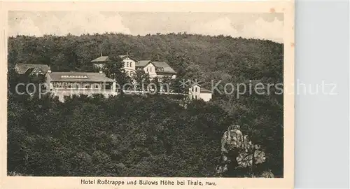 AK / Ansichtskarte Thale_Harz Hotel Rosstrappe und Buelows Hoehe Thale_Harz