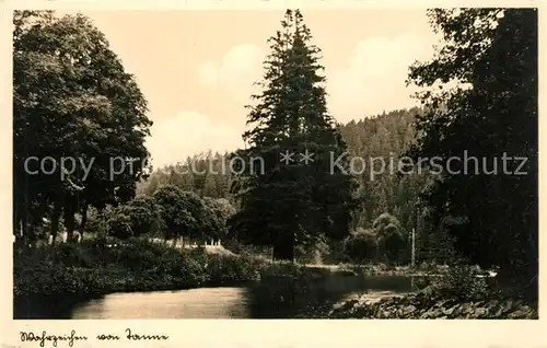 AK / Ansichtskarte Tanne_Harz Wahrzeichen von Tanne Tanne_Harz
