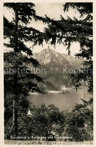 AK / Ansichtskarte Kochel_See Durchblick zum Herzogstand Kochel_See