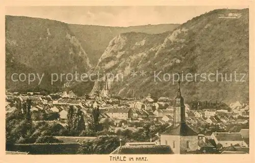 AK / Ansichtskarte Thale_Harz Stadtblick Thale_Harz