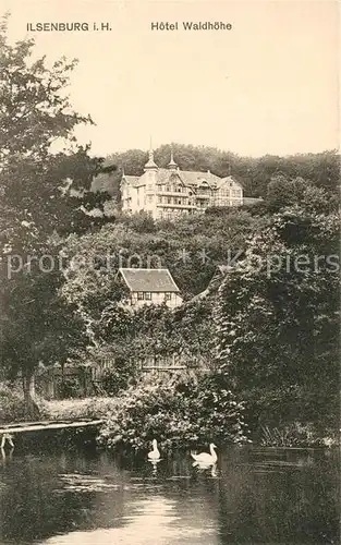 AK / Ansichtskarte Ilsenburg_Harz Hotel Waldhoehe Ilsenburg Harz