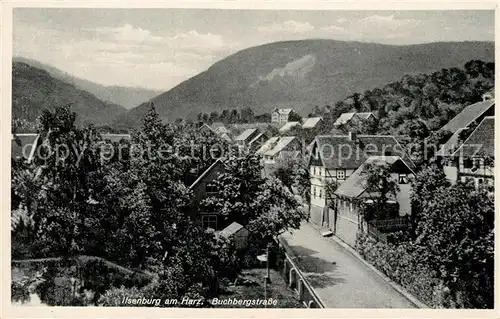 AK / Ansichtskarte Ilsenburg_Harz Buchbergstrasse Ilsenburg Harz