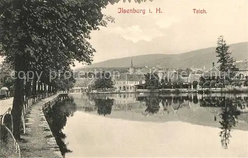 AK / Ansichtskarte Ilsenburg_Harz Teich Ilsenburg Harz