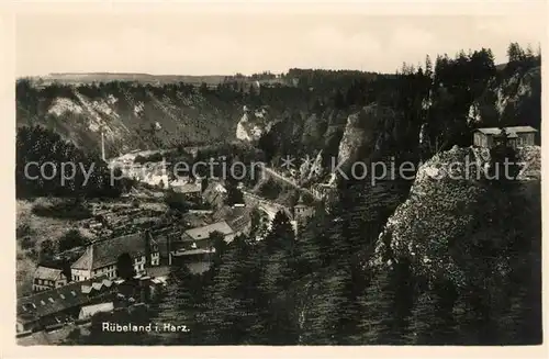 AK / Ansichtskarte Ruebeland_Harz Panorama Ruebeland_Harz