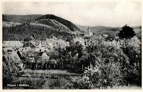 AK / Ansichtskarte Wippra Panorama Wippra