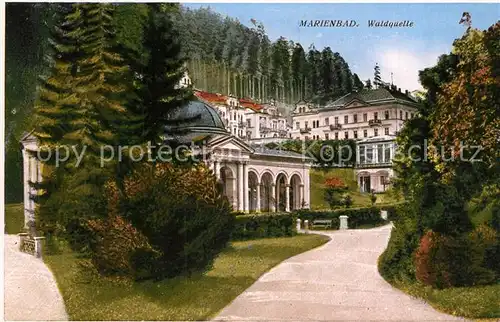 AK / Ansichtskarte Marienbad_Tschechien_Boehmen Waldquelle Marienbad_Tschechien