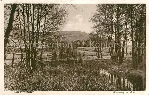 AK / Ansichtskarte Bad_Pyrmont Stimmung im Moor Bad_Pyrmont
