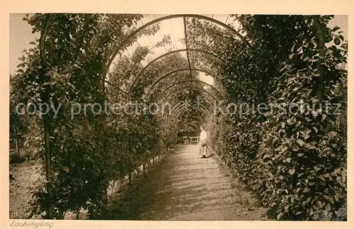 AK / Ansichtskarte Bad_Pyrmont Laubengang Bad_Pyrmont