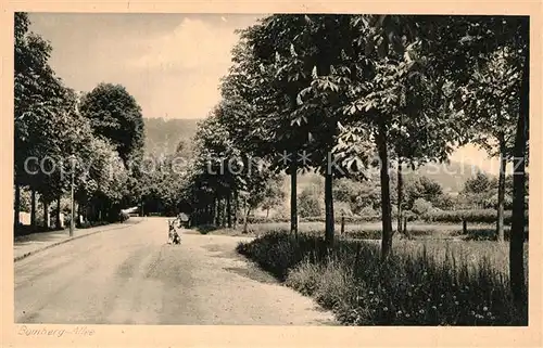 AK / Ansichtskarte Bad_Pyrmont Bombergallee Bad_Pyrmont