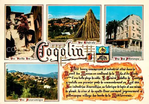 AK / Ansichtskarte Cogolin Panorama Stadtansichten Chronik Cogolin