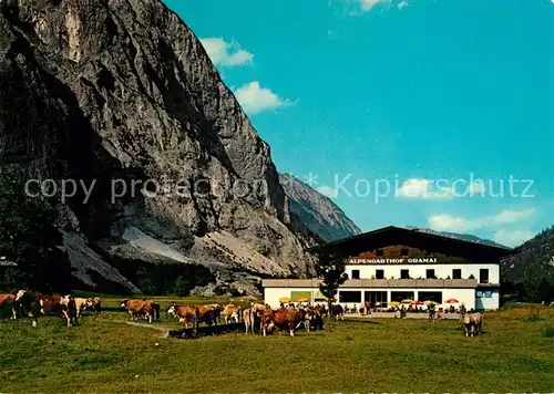 AK / Ansichtskarte Pertisau_Achensee Alpengasthof Gramai Falzthurntal Viehweide Kuehe Karwendelgebirge Pertisau Achensee