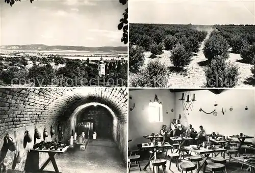 AK / Ansichtskarte Toek_Ungarn Egyeterles Produktionsgenossenschaft Toek_Ungarn