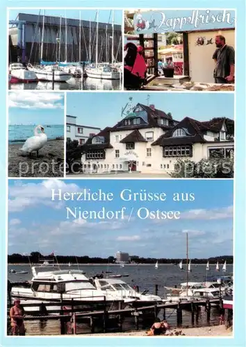 AK / Ansichtskarte Niendorf_Ostseebad Restaurant Zappelfrisch Hafen Kurhaus Schwan Niendorf_Ostseebad