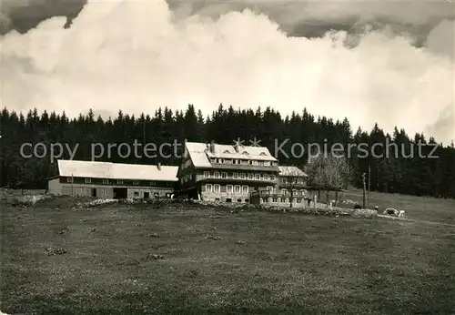 AK / Ansichtskarte Krkonose Davidova bouda Krkonose