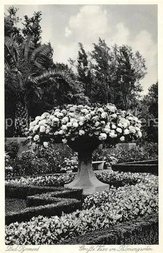 AK / Ansichtskarte Bad_Pyrmont Grosse Vase im Palmengarten Bad_Pyrmont