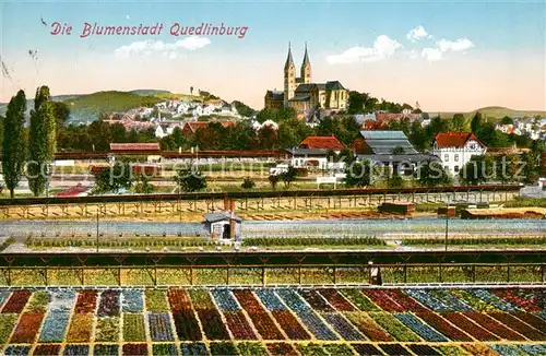 AK / Ansichtskarte Quedlinburg Teilansicht mit Kirche und Schloss Quedlinburg