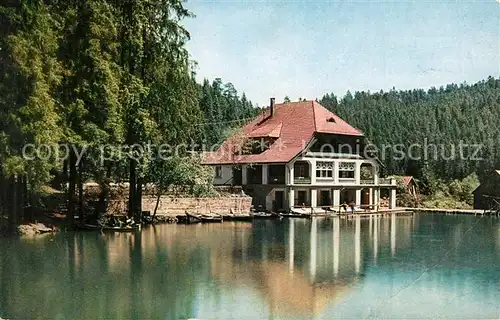 AK / Ansichtskarte Freudenstadt Langenwaldsee Cafe Restaurant Freudenstadt