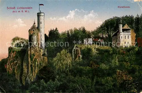 AK / Ansichtskarte Lichtenstein_Wuerttemberg Schloss Lichtenstein Forsthaus Lichtenstein_Wuerttemberg