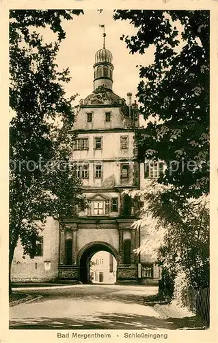 AK / Ansichtskarte Bad_Mergentheim Schlosseingang Bad_Mergentheim