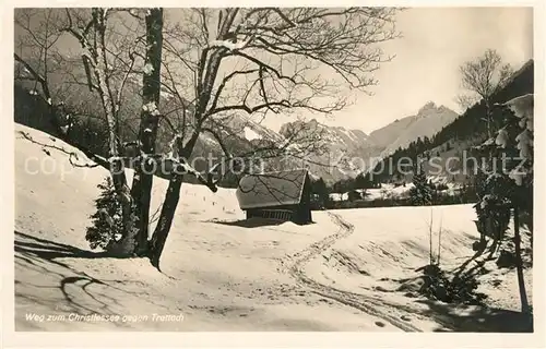 AK / Ansichtskarte Trettach Weg zum Christlessee Trettach