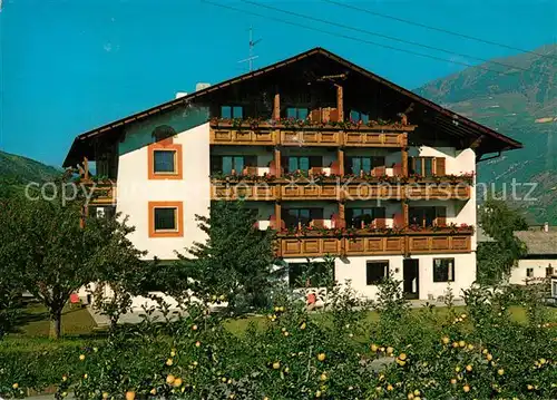 AK / Ansichtskarte Morter Pension Montani Morter