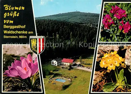 AK / Ansichtskarte Bad_Leonfelden Berggasthof Waldschenke am Sternstein Fliegeraufnahme Alpenflora Bad_Leonfelden