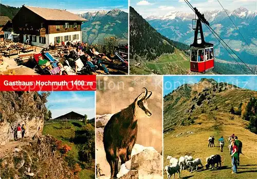 AK / Ansichtskarte Dorf_Tirol Gasthaus Hochmuth gegen Ifinger Seilbahn Vellauer Felgenweg Mutspitze Alpenpanorama Gemse Dorf_Tirol