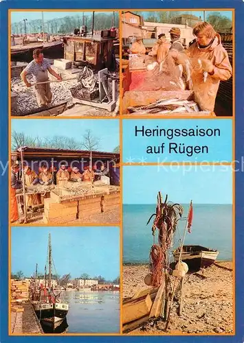 AK / Ansichtskarte Fischerei Heringssaison Ruegen  Fischerei