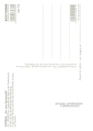 AK / Ansichtskarte Cottbus Schloss Marktplatz Rathaus Postkutsche Fussgaengerzone Cottbus