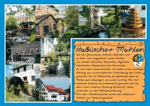 AK / Ansichtskarte Hassloch_Pfalz Saegmuehle Pfalzmuehle Aumuehle Neumuehle Hassloch Pfalz